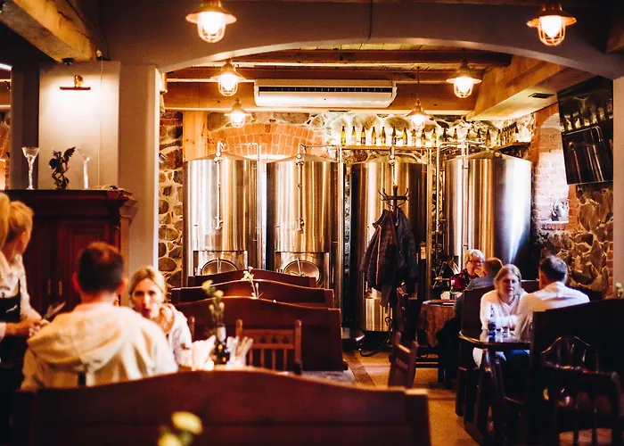 Palac Spichrz Bed and Breakfast Borcz